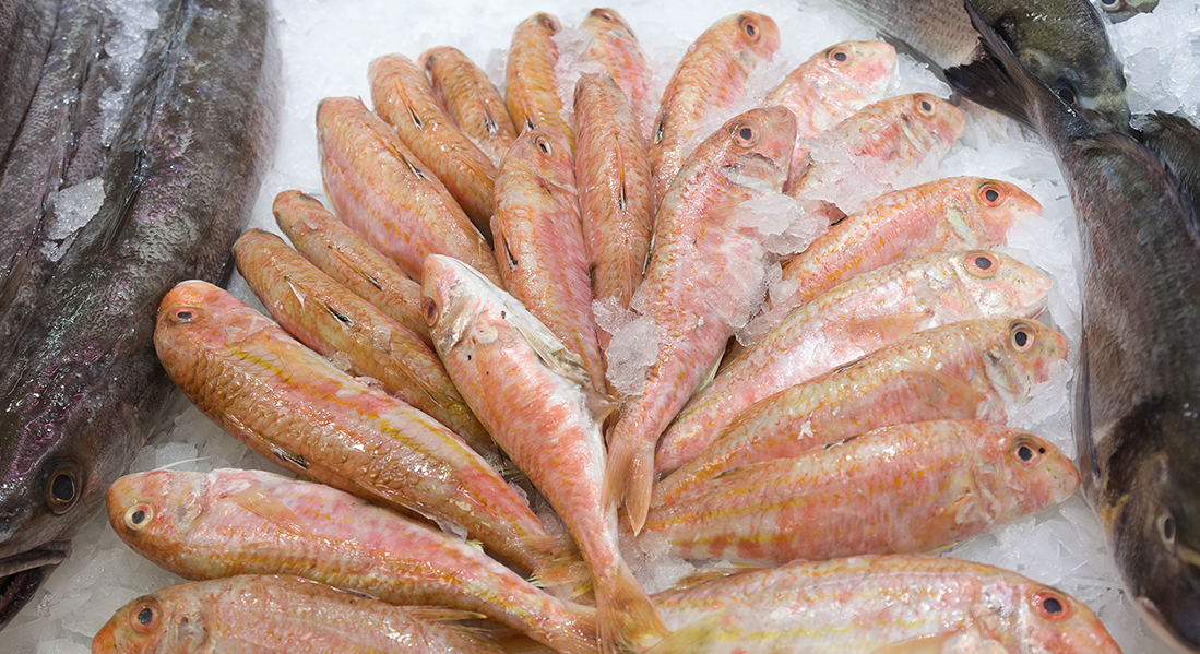 Pescadería El Faro en el Mercado de Abastos de Tudela